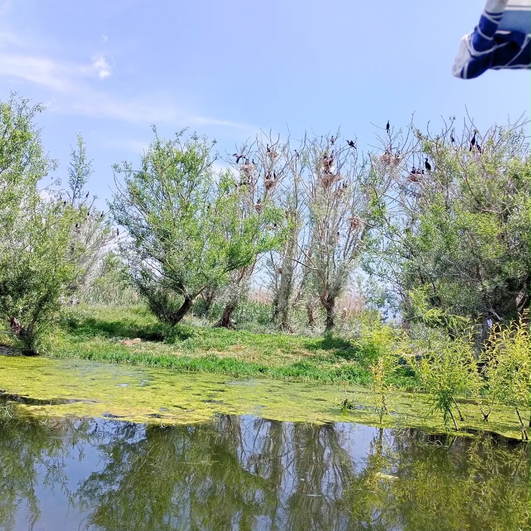 Işıklı Gölü Çivril doğa manzarası - fotoğraf 12