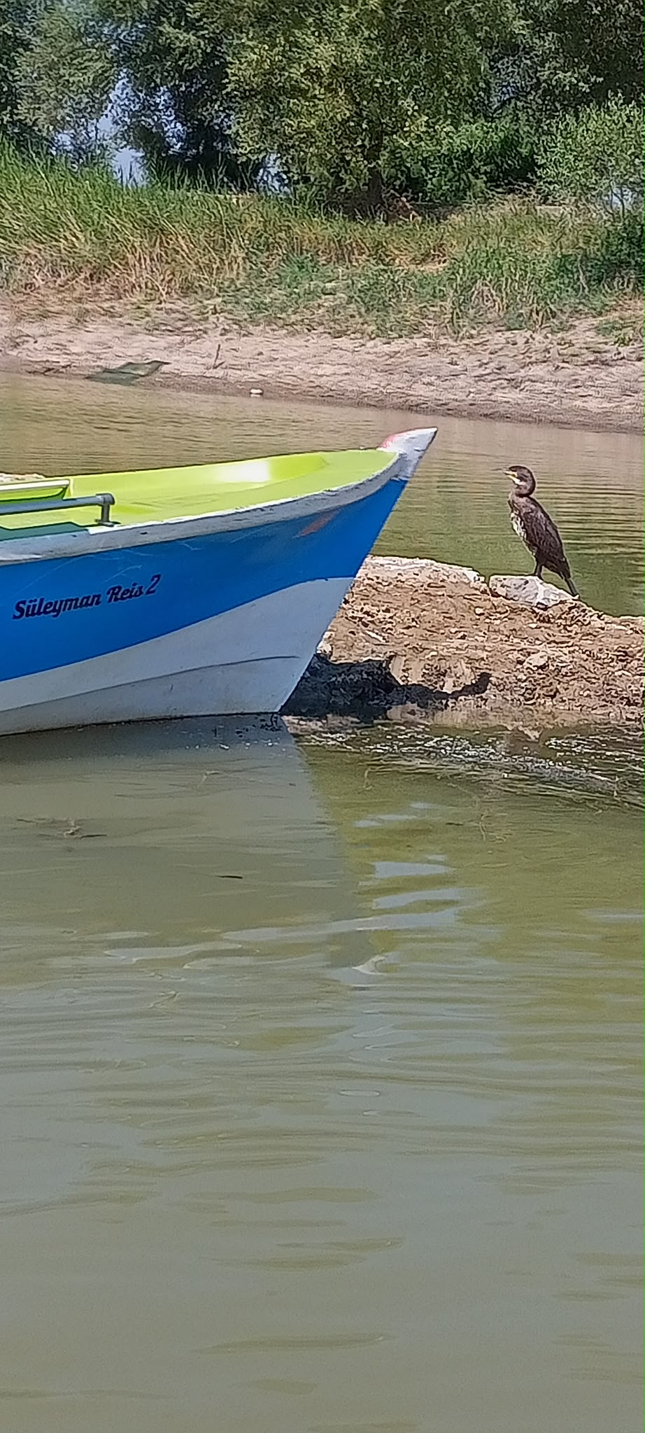 Işıklı Gölü göl manzarası ve sazlıklar - fotoğraf 14